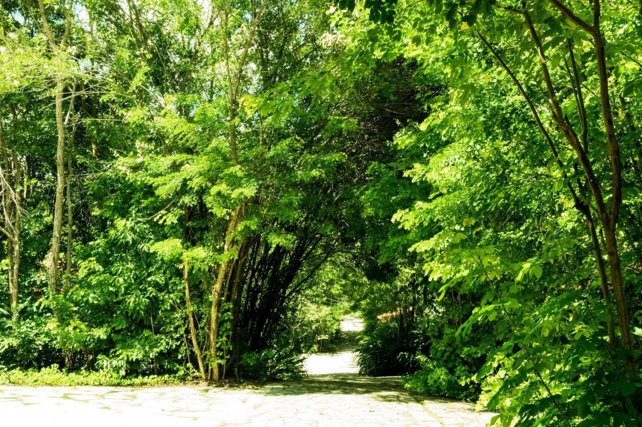 Pousada Villa Das Pedras Pirenópolis Εξωτερικό φωτογραφία